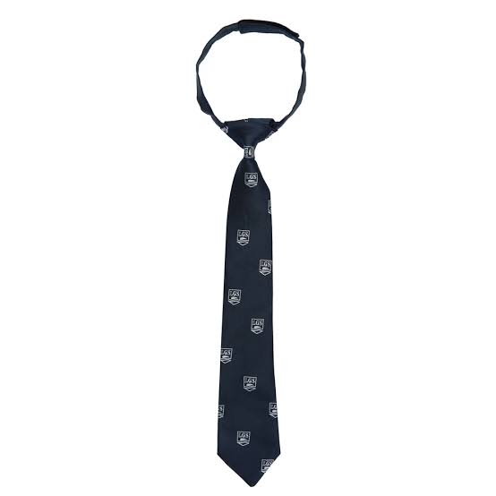 LGS Boys Tie