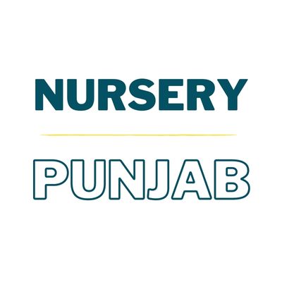 Nursery - Punjab | The City School | Complete Pack (Books + Notebooks)