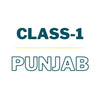 Class 1 - Punjab | The City School | Complete Pack (Books + Notebooks)