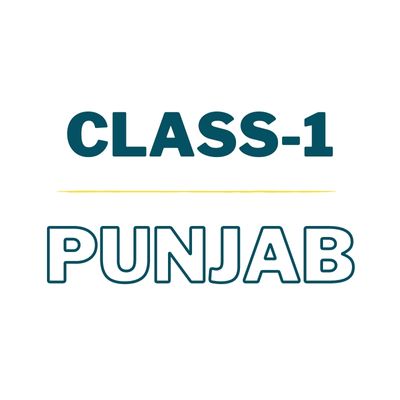 Class 1 - Punjab | The City School | Complete Pack (Books + Notebooks)