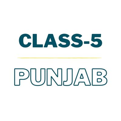 Class 5 - Punjab | The City School | Complete Pack (Books + Notebooks)